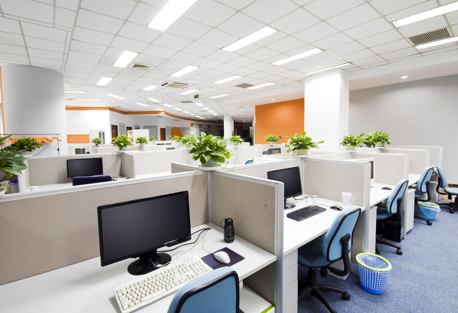 Top Office Cleaning In Mission Heights